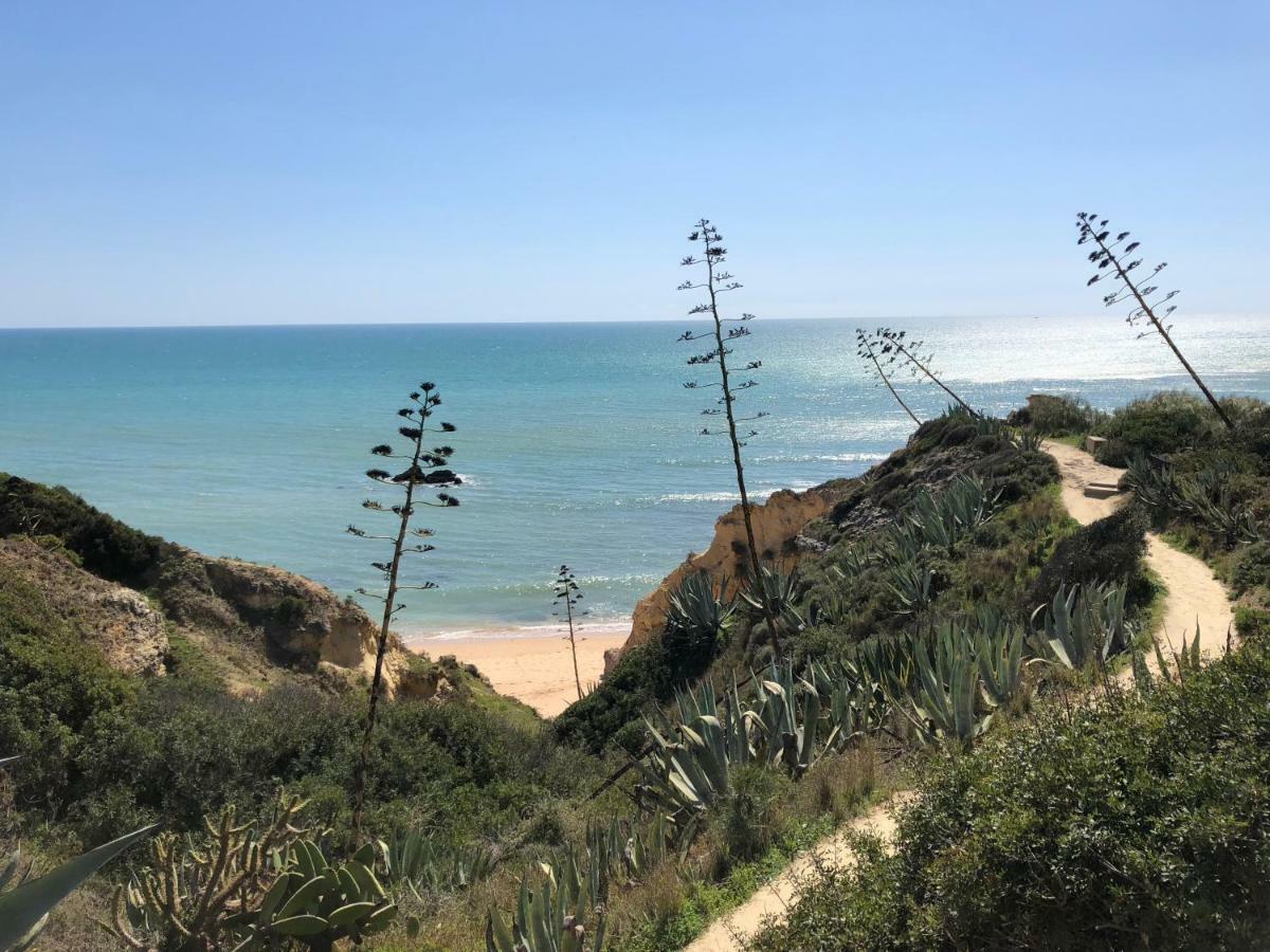T3 Holiday Cottage Near The Beach | C225 Porches  Esterno foto